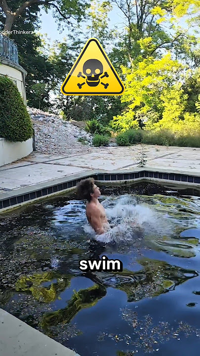 Never swim here ‼️