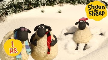 Baa-rilliant Fun with Shaun the Sheep! 🤩 | 1 HOUR | Shaun the Sheep & Friends | Cartoons for Kids