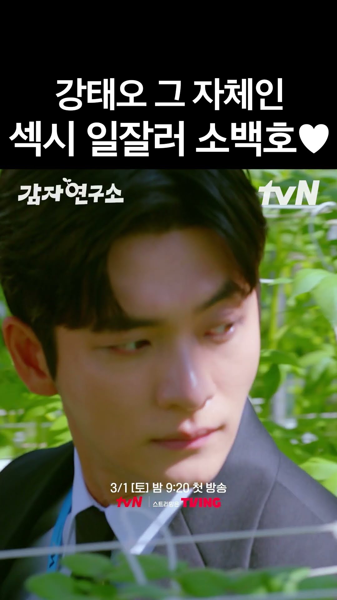 마냥 미워할 수 없는 (섹시) 원칙주의자 강태오 ? #감자연구소