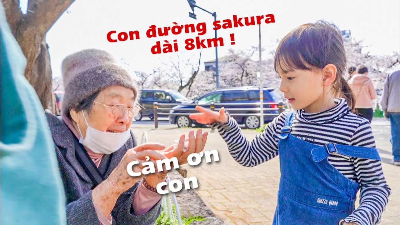 Dẫn người bà 90 tuổi lâu rồi chưa ngắm hoa anh đào đi thưởng thức hoa ở Gifu