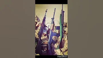 حرب المرشدين 
