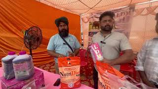 Ldm पशय क दध बढन क लए बसट सपपलमट 2025