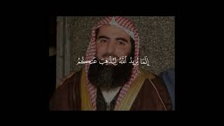 Сура Аль Ахзаб аят 33 Мухаммад Аль Люхайдан #freepalestine #quran