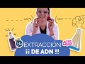 Extracción de ADN de una Fresa - Experimento de Ciencia