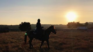Camp Claude - Horses (Audio)