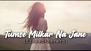 Tum Se Milkar Na Jane Kyun ( Old Song ) | Slowed And Reverb | Lata Mangeshkar | REverb World