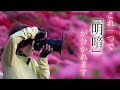 【ここは絶対使わなきゃ!】絶景写真の必需品!H&Yフィルター EVO-Series & K-Series