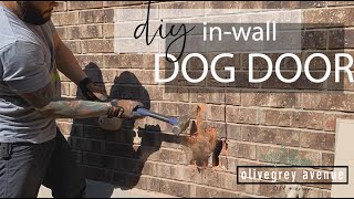 WE CUT A HOLE IN OUR HOUSE | installing an inwall dog door part 1
