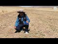 Siembra de pasturas nuevas | Puno Peru