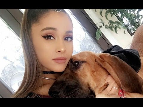 Ariana Grande - Funny Moments (Best 2016☆) #5 - YouTube