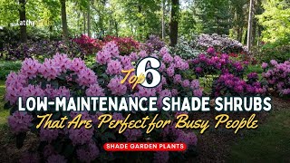 Top 6 Low-Maintenance Shade Shrubs That Are Perfect for Busy People 🌷🍃🌹 // Gardening Ideas