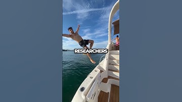 Digital Immortality: Can Your Mind Live Forever?