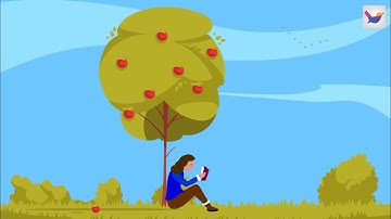 Lesson 1.1: ভৌতজগৎ ও পরিমাপ | HSC Physics 1st | Shikho