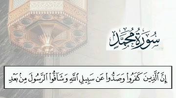 سورة محمد (20-38) للقارئ ماهر المعيقلي