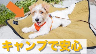 【ドッグコット】キャンプでも愛犬を安心して預けられるアイテムを使ってみた