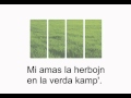 Mi amas