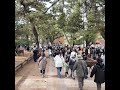 おん祭り人通り #文化財 #奈良公園
