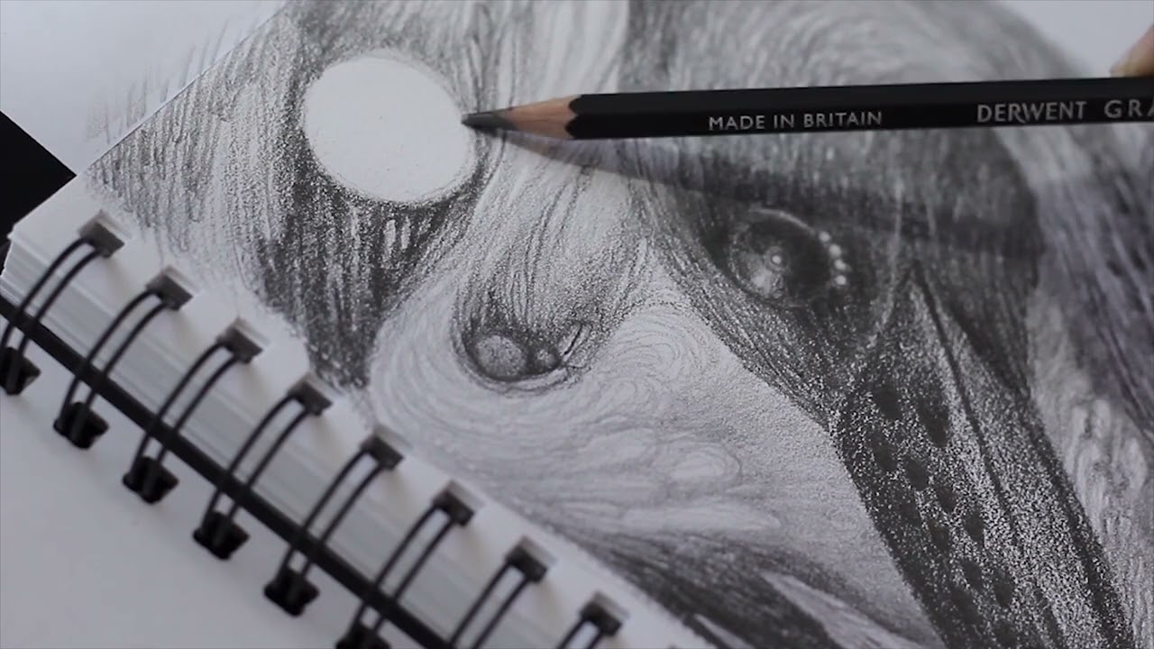 Drawing Bird of Darkness part 3 