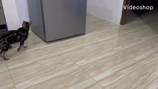 картинка: Как филиппинка обула на $30 тысяч , Американца …