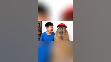 Capy cùng anh pha nước uống cho bà và cái kết  #capybara