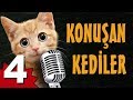 Konuşan Kediler 4 - En Komik Kedi Videoları