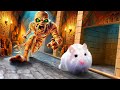 Hamster unlock the secret room of the egyptian pyramid  mummies monsters  hamster maze