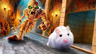 Hamster Unlock The Secret Room Of The Egyptian Pyramid - Mummies Monsters ⚔️ Hamster Maze