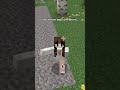 эррор со error so #minecraft #майнкрафт 我是LILISOASOA