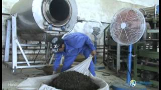 Making Black Dragon tea in Moc Chau, Vietnam