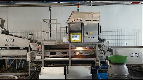 Spray optical sorting machine for olives | RAYTEC VISION SpA
