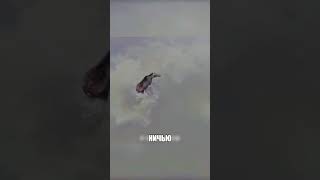 Хищник ЧУТЬ НЕ УТОНУЛ в реке😱🌊🐺