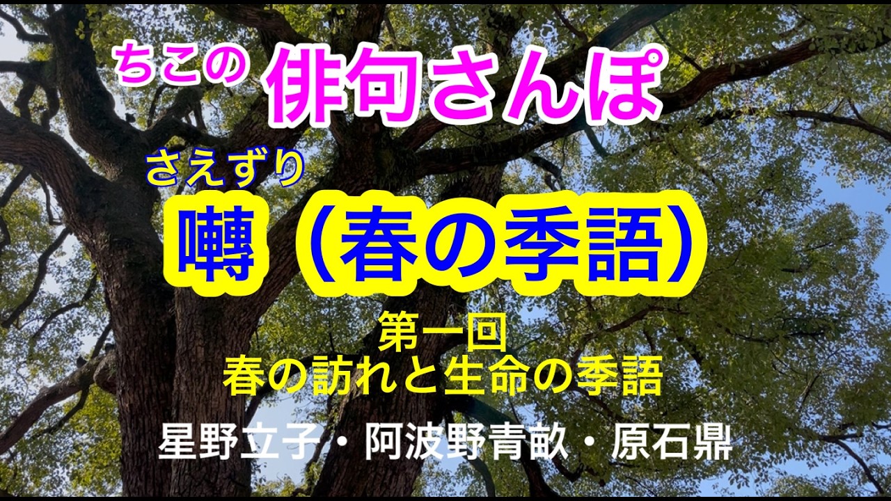 【俳句さんぽ・第233回】囀（春の季語）第一回　季語を深掘り！