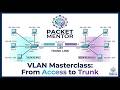 VLANs and Trunking Full Lab — CCNA 200-301 | Packet Tracer Walkthrough