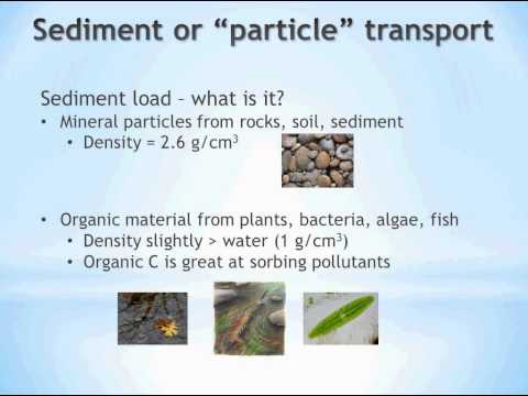 PreLecture Sediment Transport Introduction