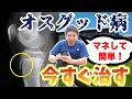 【医者も知らない】オスグッドの原因と治し方【大阪/膝/オスグッドの原因と治し方/膝ストレッチ】