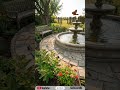Turning a Destroyed Garden In to a Full of FLowers #restoration #entertainment #gardening