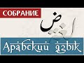 Арабский язык (Собрание) | Мухаммад абу Ахмад