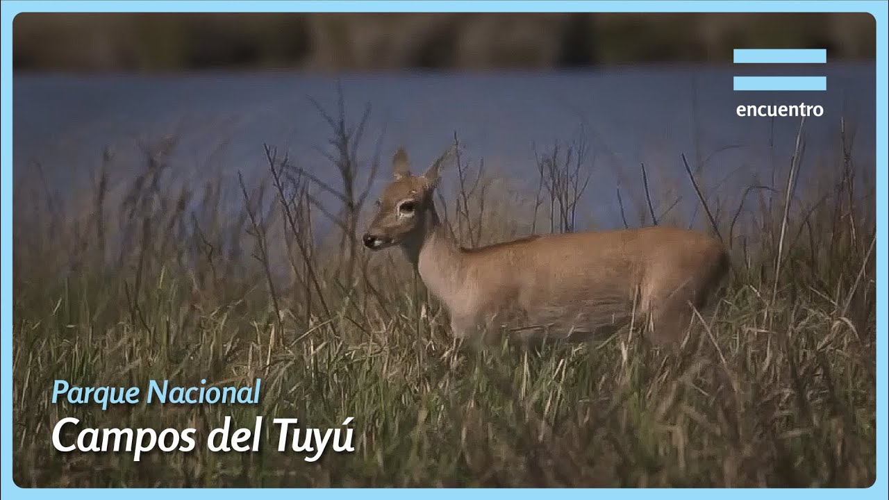 Parque Nacional Campos del Tuyú - Buenos Aires | Equilibrios | Encuentro