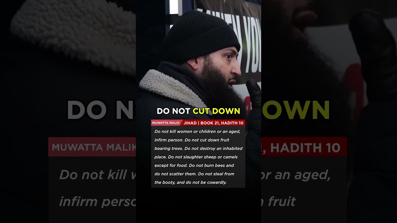 Разнос от мусульманина по фактам! 🔥 #палестина #израиль #политика #сша #великобритания