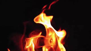 Arabian Nights Patrick Patrikios