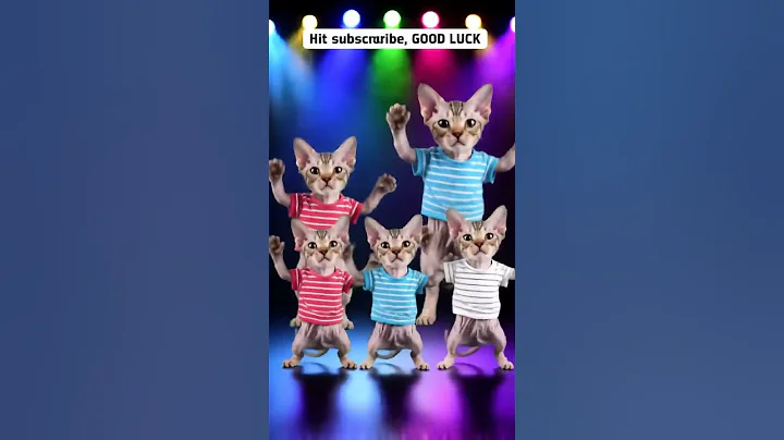 Video 10932781: devon rex cat funny, cute devon rex cat, cat funny dance, cat family dancing