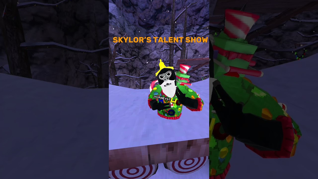 Skylor's Talent Show!  