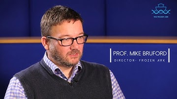 Our Vision (1 of 11)