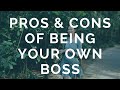 DIGITAL NOMAD: Pros and Cons of Being YOUR OWN BOSS