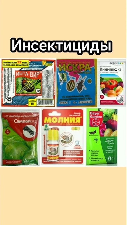 Урок 39. Инсектициды для клубники. Разновидности инсектицидов. # ...