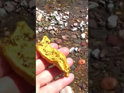 ذهب في نهر الفرات