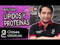 BIOLOGÍA - Lípidos y proteínas [ZOOM]