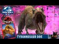 Iconic legendary tyrannosaur doe unlocked  jurassic world alive