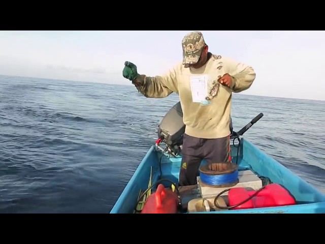 Tuna Fisherman (Handline) 