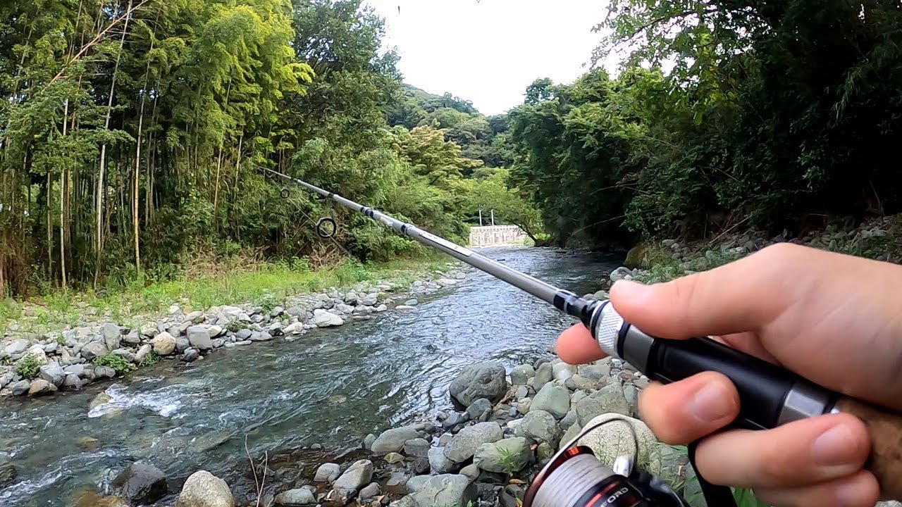 秦野の四十八瀬川、魚釣り